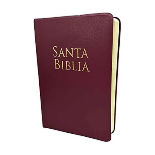 Biblia Letra Grande Tamaño Manual Con Referencias Rvr 1960