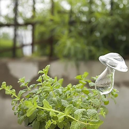 3pack De Plantas Claras Alimentador De Rociadores De Flores