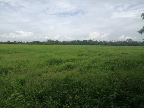 Imagen 7 de 17 de De Oportunidad Vendo Finca En El Cantón 283 Hectáreas Ah