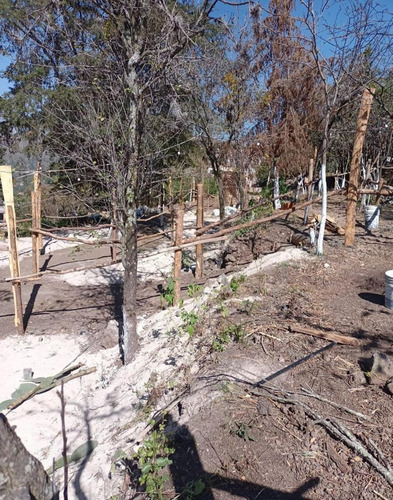 Imagen 9 de 15 de Terreno Habitacional En Venta En San Miguel Tlaixpan, Texcoco, México