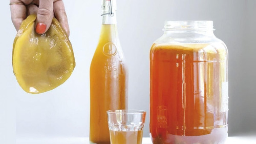 Kit Kombucha Líquido Iniciador+ Scoby Bebida Probiótica