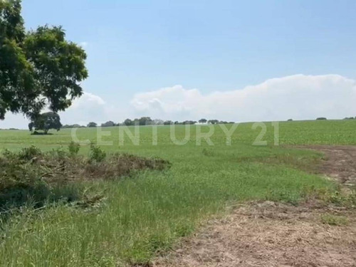 Terreno Venta 68.5 Hectáreas Zona Cercana Parque Industrial Santa Rita Veracruz