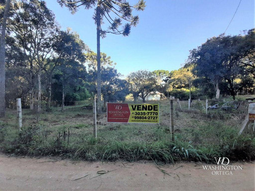Chácara À Venda, 31000 M² Por R$ 659.000,00 - Cachoeira - São José Dos Pinhais/pr - Ch0066