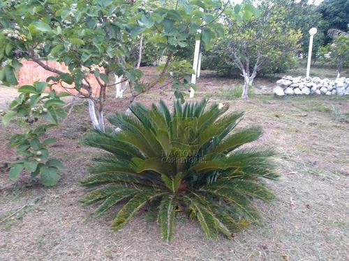 Imagem 18 de 19 de Chácara Com 4 Dormitórios À Venda, 20000 M² Por R$ 456.000,00 - Campo Alegre Iv - Bofete/sp - Ch0021