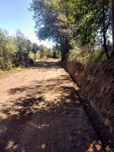 Terreno Rústico En Residencial Los Cedros