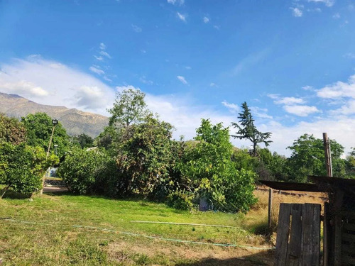 Hacienda De 5.000 M² En Lo Cañas Con Riego (173166)