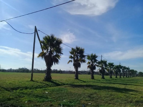 Imagen 2 de 6 de Terreno En Venta En Loteo Palmas Centro