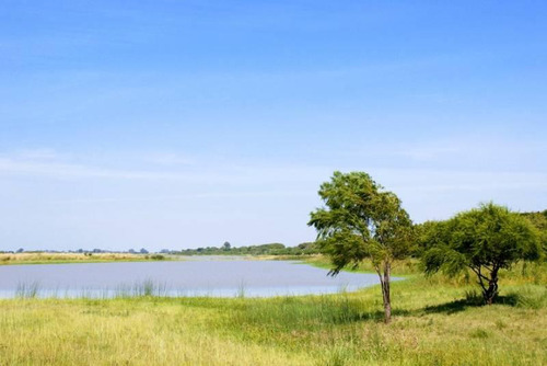 Se Vende Terreno En Col. Mascías C/vista Al Río - San Javier