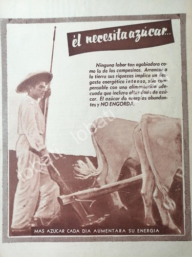 Cartel Retro Campaña Nacional De Consumo De Azucar 1955 /388