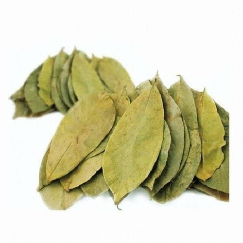 Hoja De Guanábana Orgánico 1 Kg A Granel