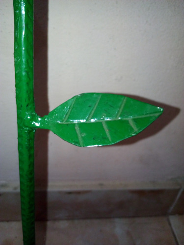 Planta De Rosas