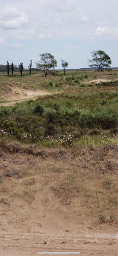 El Salvaje, Lote 2500 M2, Mar De Pampas Tomo Moto,cuatri,camioneta