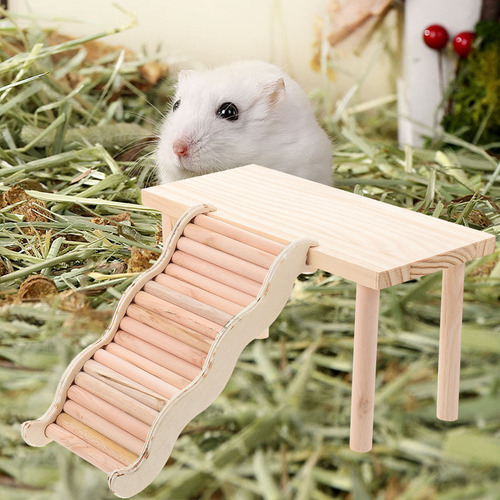 2025 Puente Colgante Hamster Platform