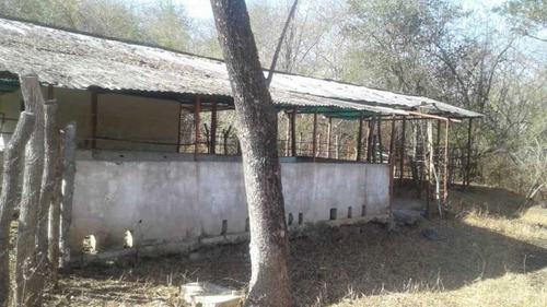 Imagen 9 de 14 de Finca Productiva Para Cria De Porcinos En Parapara De Ortiz