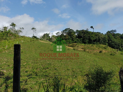 Imagem 2 de 19 de Terreno À Venda No Vale Do Ribeira Sp Ref 0988