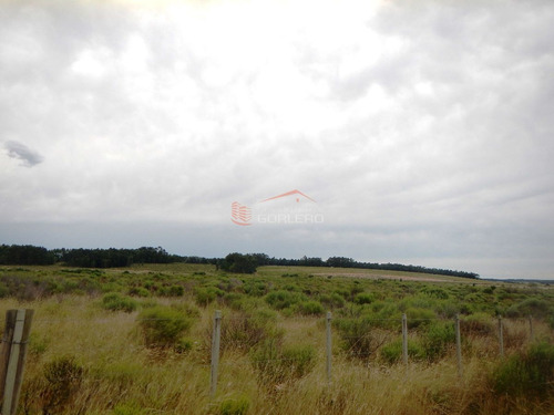 Imagen 6 de 11 de Chacra En Punta Del Este, Ruta 104