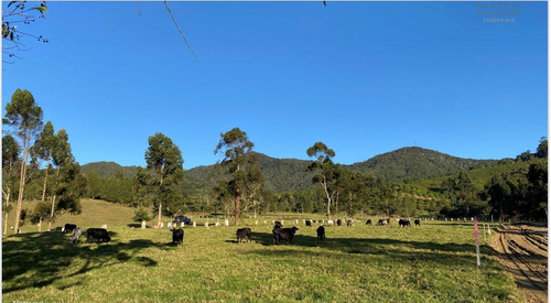 Hermoso Lote En Parcelacion La Ceja Sector El Yarumo