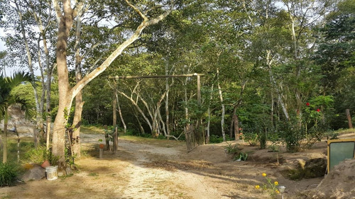 Imagen 7 de 10 de Rancho La Flor