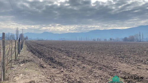 Venta 11 Hectreas, Proyecto San Jose De Toro, Nancagua