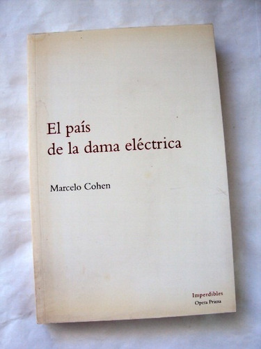 Marcelo Cohen El País De La Dama Eléctrica Ana Basualdo L26