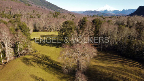 Campo De 42,5 Ha. Y Orilla De Rio Liucura En Pucón