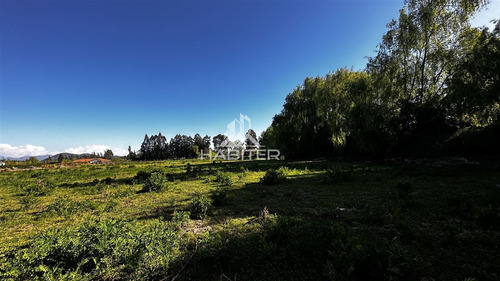 Oportunidad! Parcela Plana En Venta En Zapallar Curicó Km 4