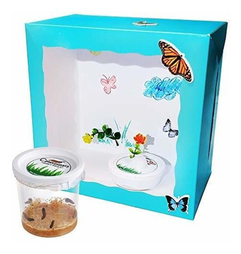 Juego Educativo De Cienci Kit De Mariposas Vivas, Con 5 Mari