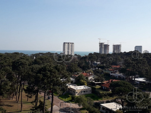 Imagen 4 de 21 de Apartamento En Zona De Roosevelt