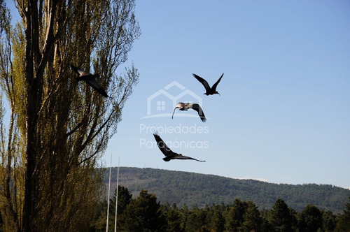 Terreno Lote En Venta En Dos Valles, Bariloche, Patagonia