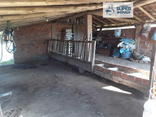 Chácara A Venda No Bairro Centro Em Morro Redondo - Rs. - 1515-1