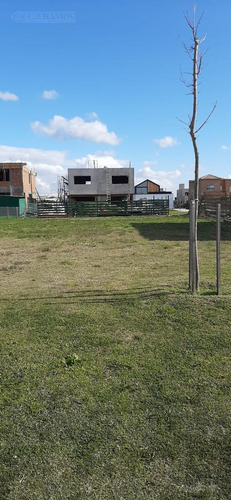 Terreno - Araucarias