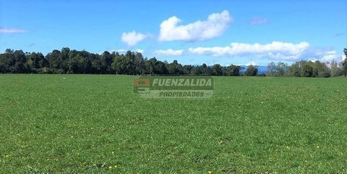 Imagen 5 de 10 de Sitio En Venta En Lago Puyehue Mantilhue