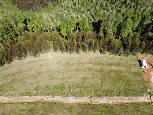 Parcela 1 Hectárea En Mafil