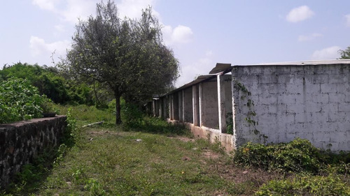 Rancho En Venta En Veracruz Carretera Paso De Ovejas