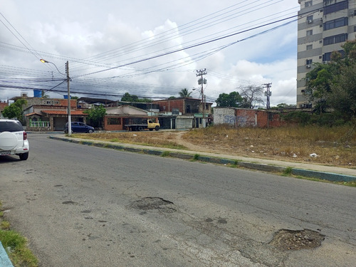 Terreno En La Calle Las Flores, Porlamar, En Venta