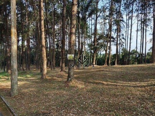 Imagem 2 de 7 de Terreno À Venda, 1156 M² Por R$ 742.000,00 - Residencial Das Estrelas - Barueri/sp - Te0254