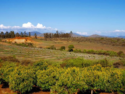 Parcela Camino De Las Fruta/km 106
