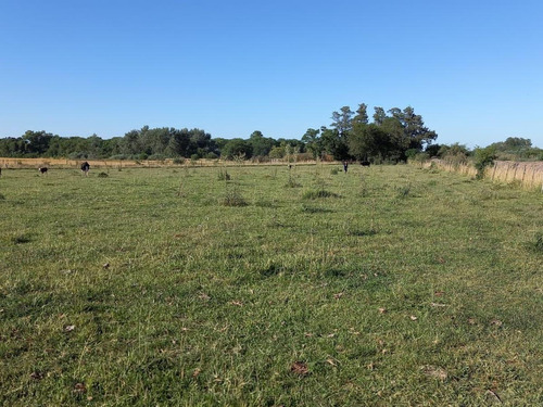 3,6 Hectáreas En San Miguel Del Monte