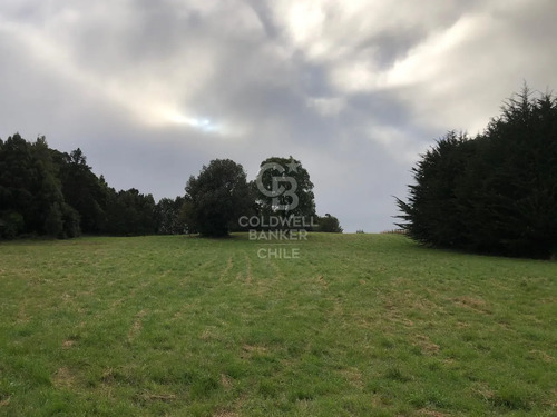 Espectacular Terreno De 3,9 Hectáreas En Puerto Varas