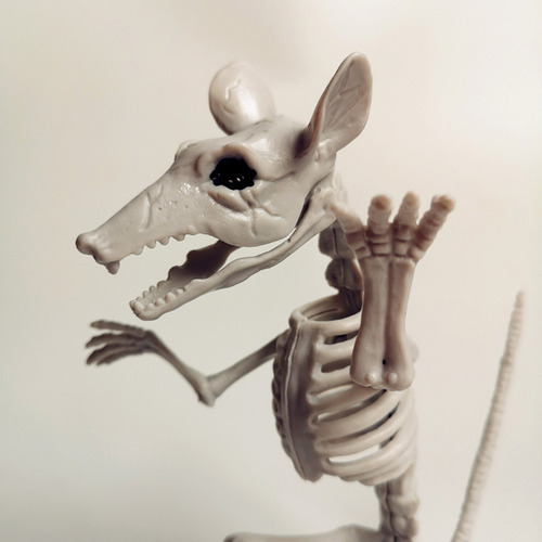 Simulación De Terror De Halloween De F Animal Skeleton Bones