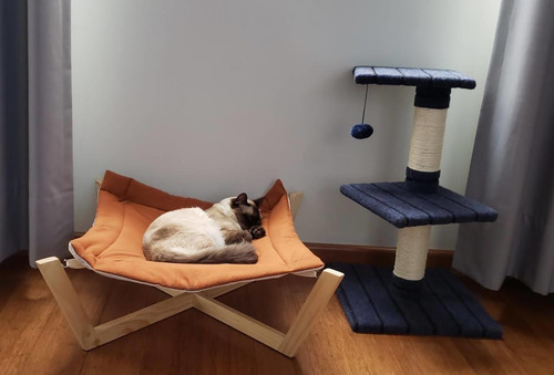 Cama Y Comedero Para Gatos