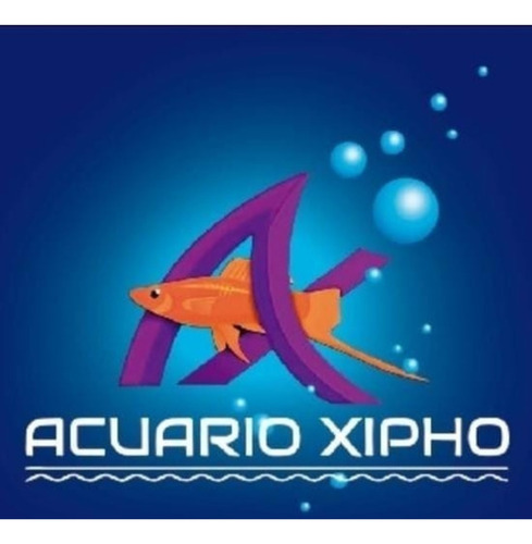 Goldfish Oranda Blue Platino! Hermoso - Peces Agua Fria