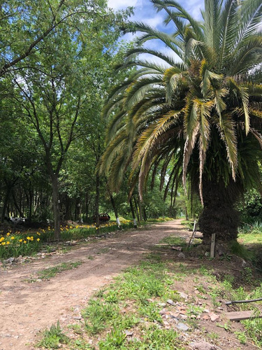 Terreno En Moreno