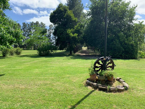 Imagen 14 de 30 de Campo En Venta En Bavio | Ruta 11 E/el Pino Y Km.42 (4,79 Has) Fracc.1