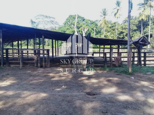Imagen 3 de 8 de Se Vende Finca En Yaracal Falcon