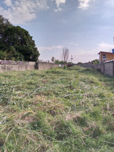 Imagen 5 de 6 de Terreno En Venta. Alto Barinas
