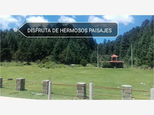 Imagen 10 de 12 de Terreno En Venta Exclusivo Fracc Campestre, Tenemos Terrenos Con Hermosos Árboles