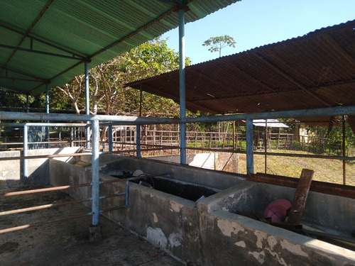 Mini Finca De 4 Hectáreas Con Hermosa Casa Campestre Y Espectaculares Áreas Sociales En Urbanización Privada En Venta Gg