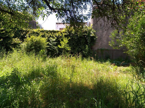 Imagen 7 de 25 de Chalet 3 Amb Amplio A Reciclar- Lote 880 M2 - V.ballester
