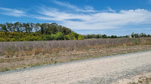 Imagen 29 de 29 de Venta Lote / Chacra En Estancia El Aduar - Zarate